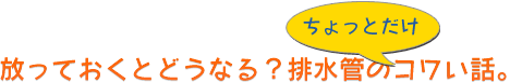 放っておくとどうなる？排水管のちょっとだけコワい話