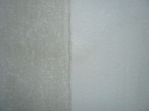 P10105211